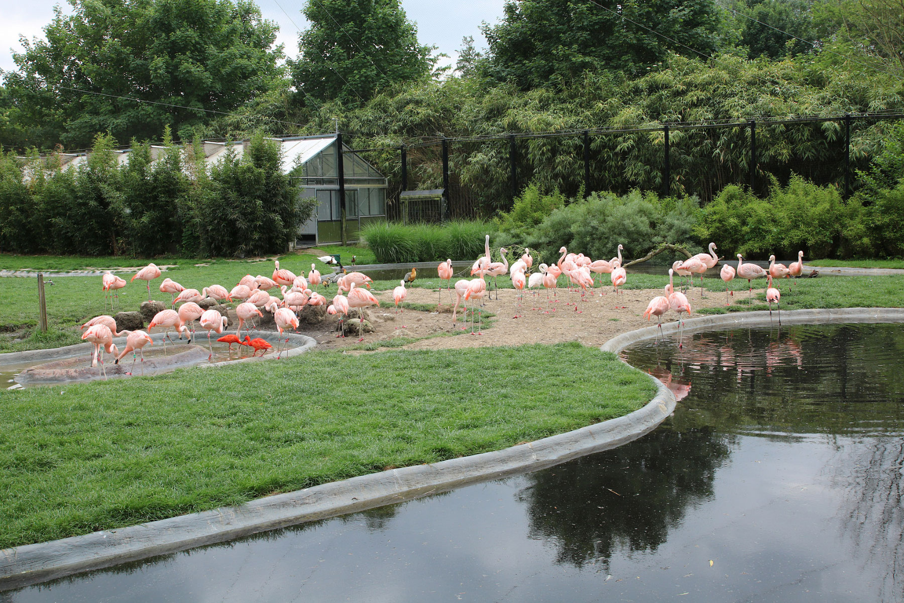 Dierenpark Planckendael